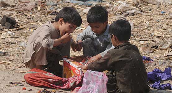 自动发货平台的ddos网页端源码